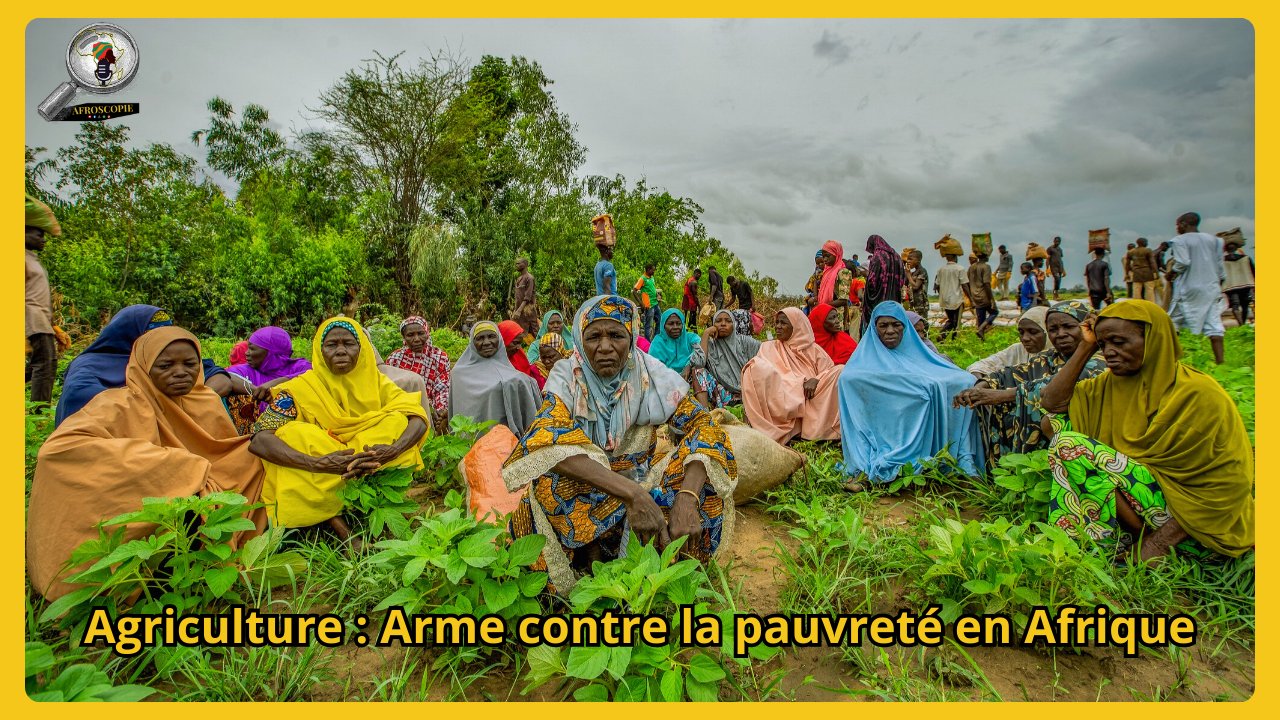 Agriculture : une arme silencieuse contre la pauvreté et la criminalité en Afrique centrale